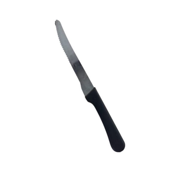 Cuchillo briana p/carne 4.5 pulg (12)(60