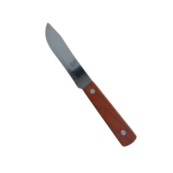 Cuchillo briana frutero 4"(12) (600)